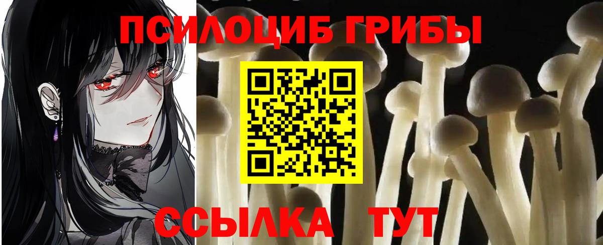Ангарск  наркотики  Вход с VPN  Галлюциногенные грибы Psilocybine cubensis 